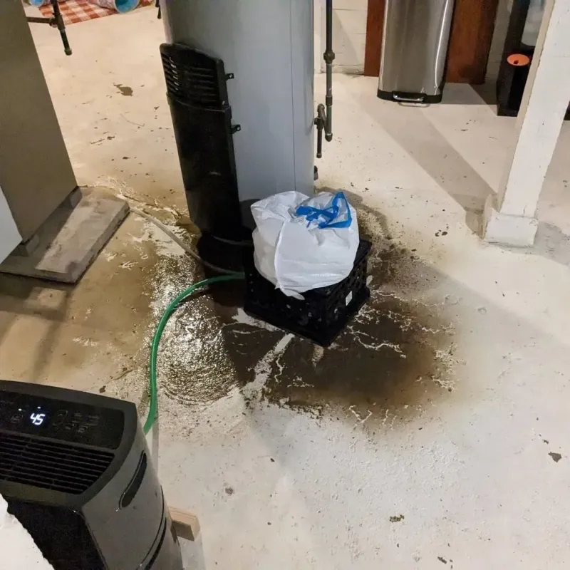 Sewage Backup Cleanup Service in Coon Rapids, IA